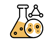 EXPRESSION ENVIRONMENT <br><b>OPTIMIZATION</b>